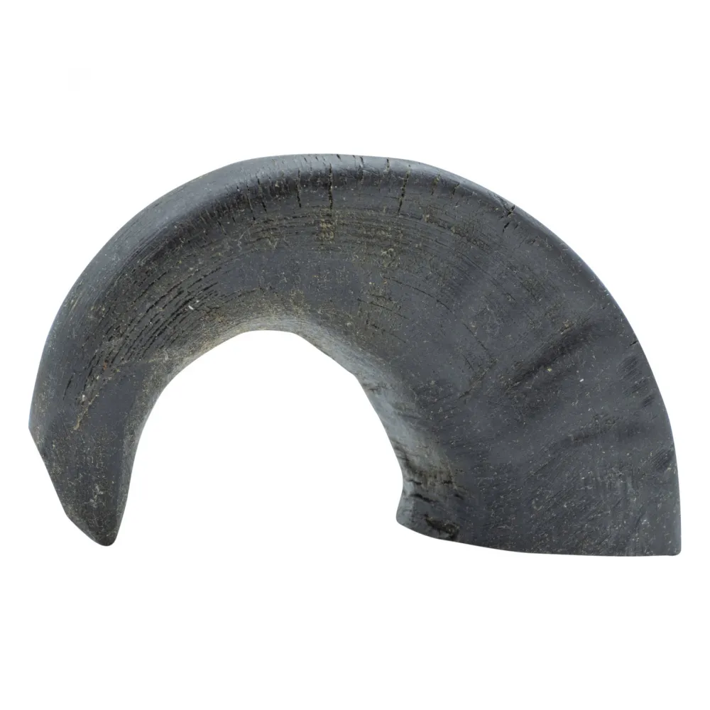 Büffelhorn Größe S-L