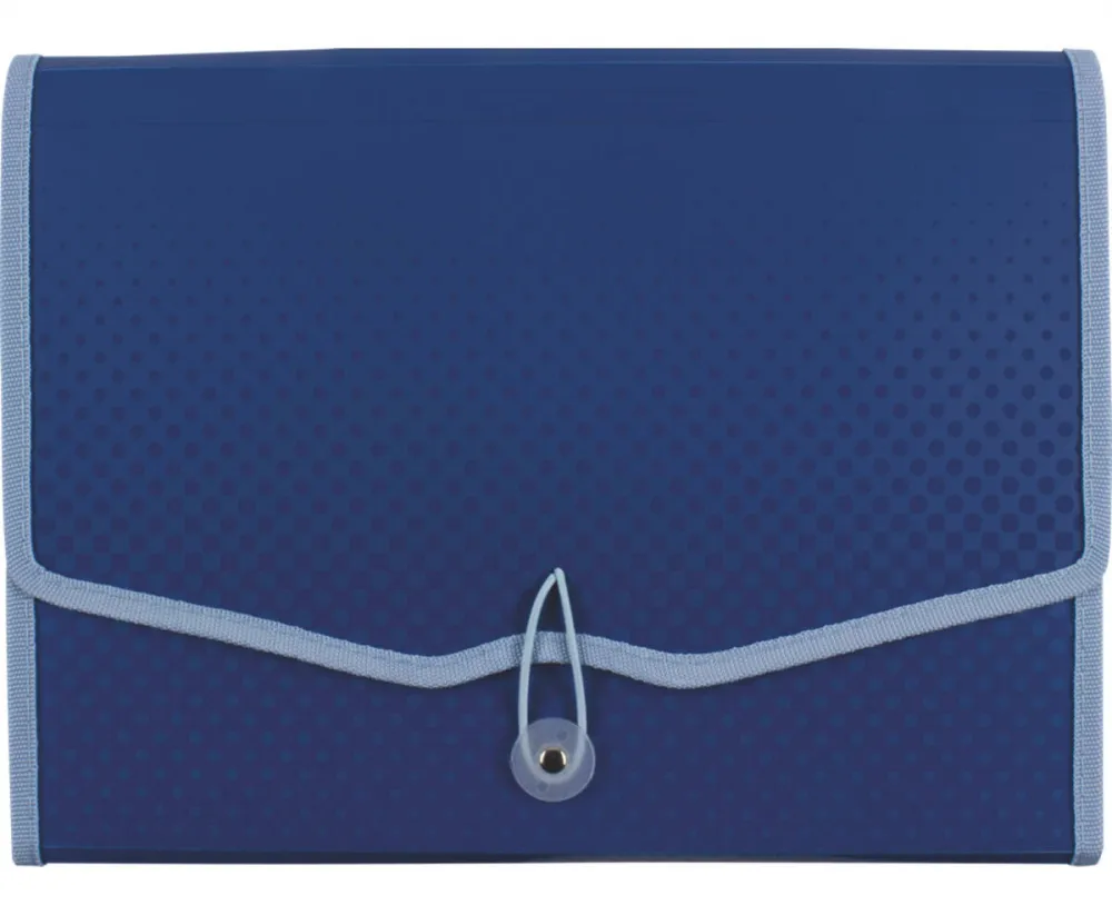 Dokumentenmappe PP 12 Fächer