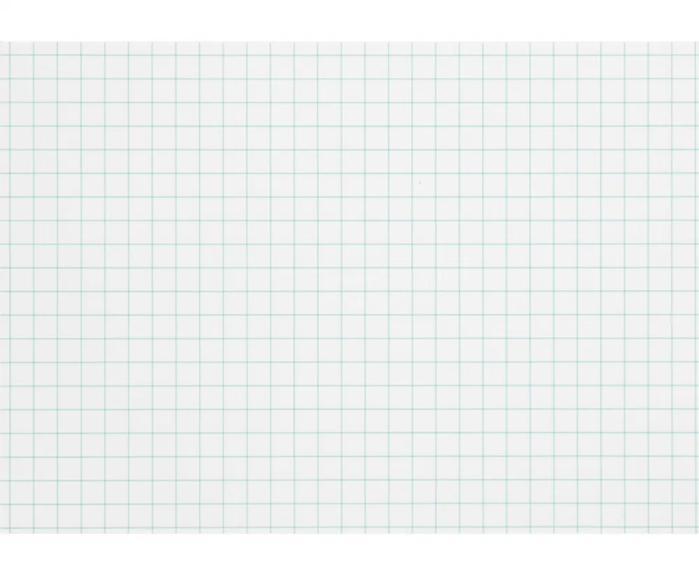 Karteikarten DIN A8 kariert 100 Stück FSC