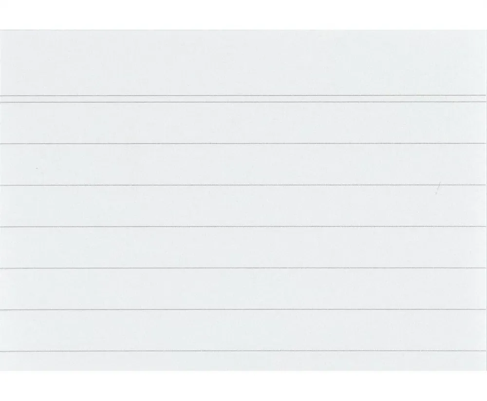 Karteikarten DIN A8 liniert 100 Stück FSC