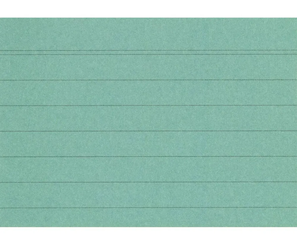 Karteikarten DIN A8 liniert farbig sortiert 100 Stück FSC