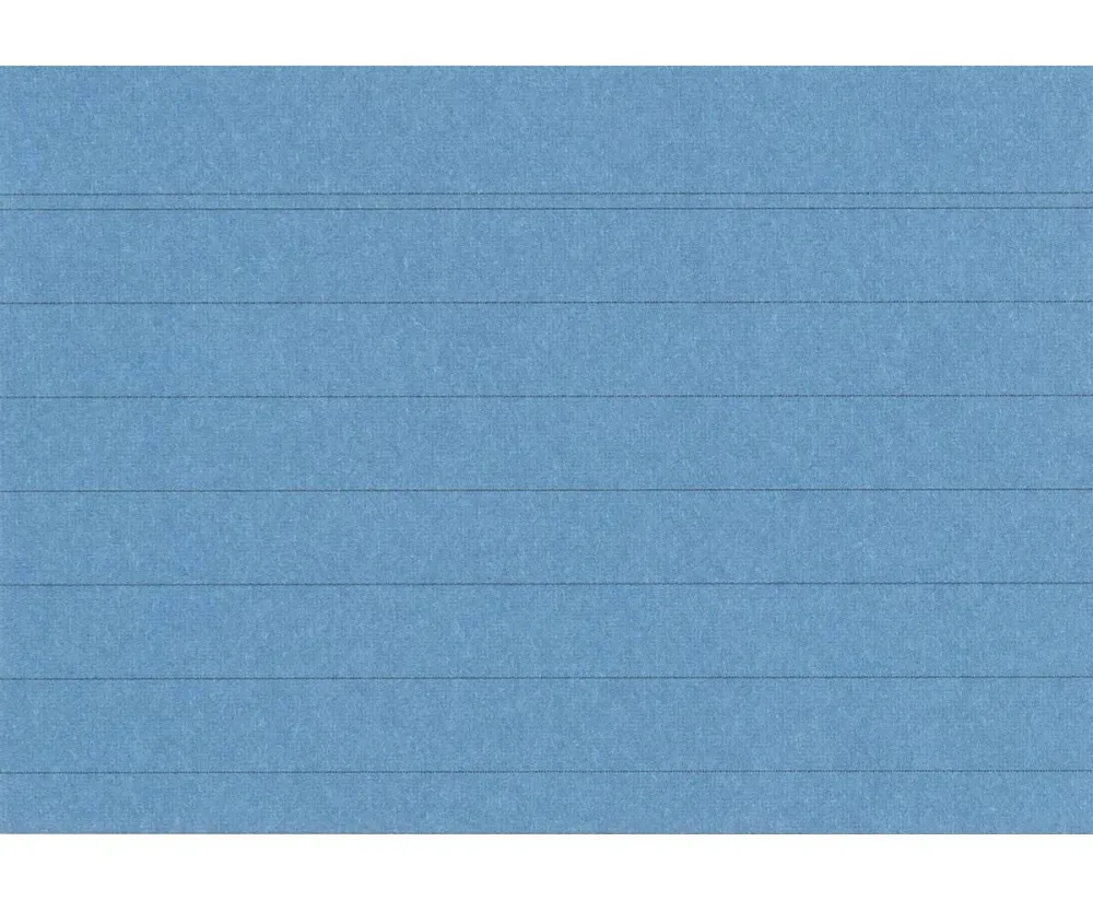 Karteikarten DIN A8 liniert farbig sortiert 100 Stück FSC