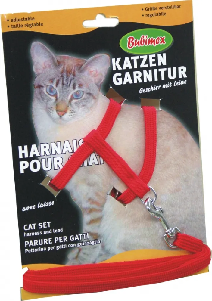 Katzengeschirr