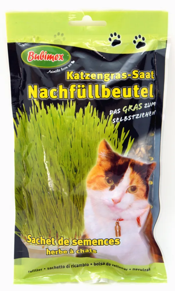 Katzengras Nachfüllbeutel 100g