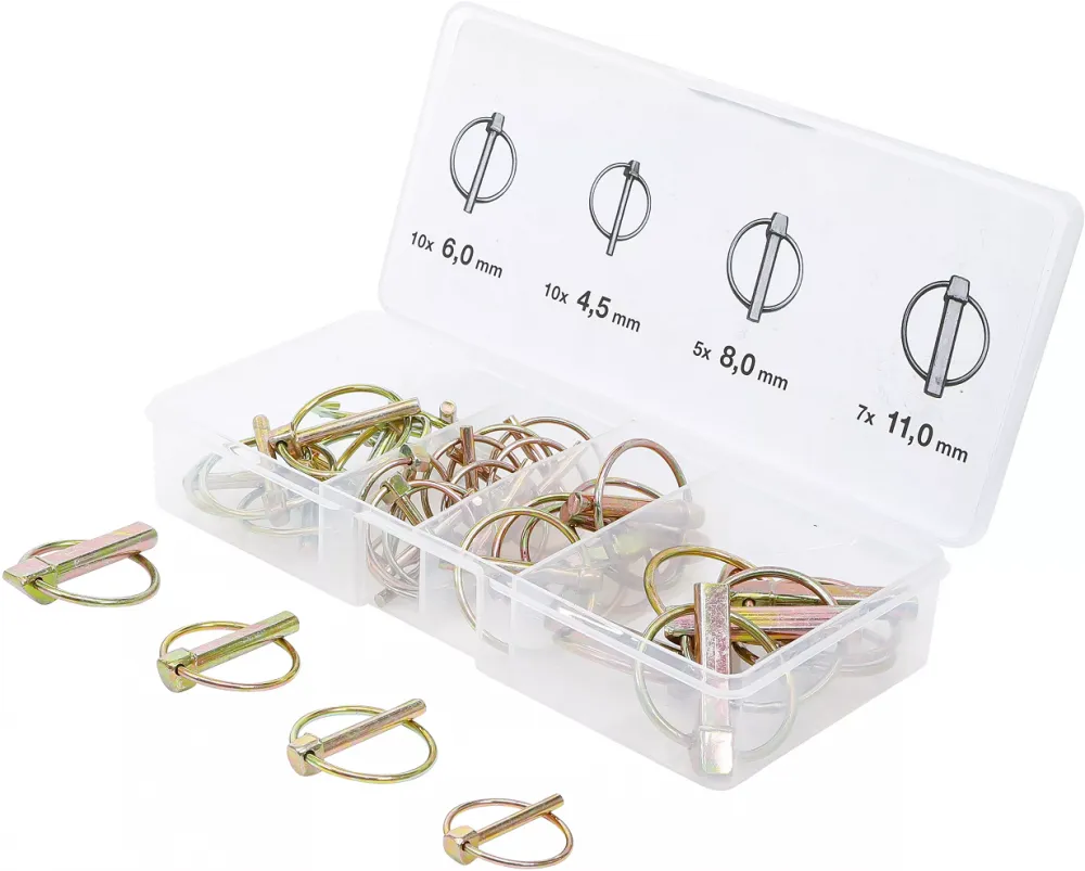 Klappsplinte-Sortiment, 32-tlg.