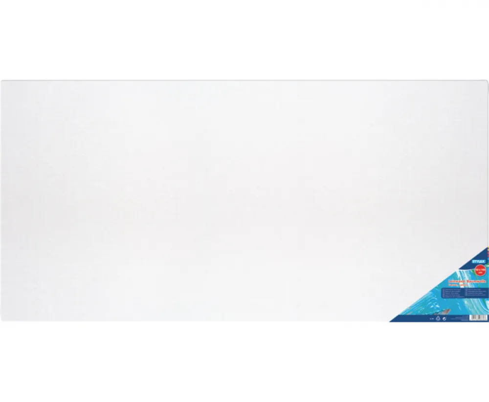 Leinwand 50 x 100 cm