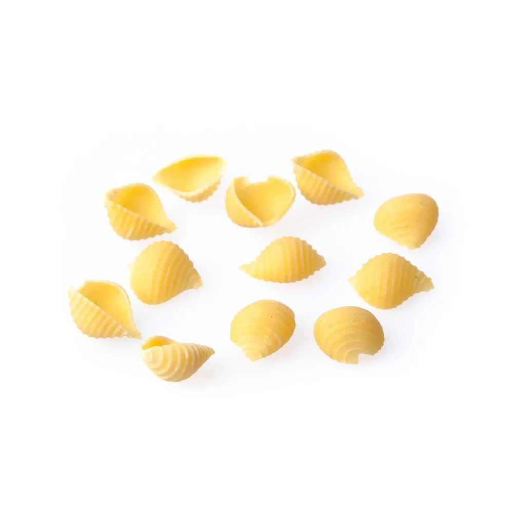 Muscheln Nudeln 500g