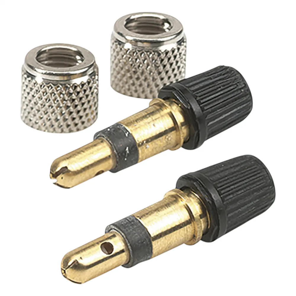 Patentventile 2 Stück mit Überwurfmutter und Ventilkappen