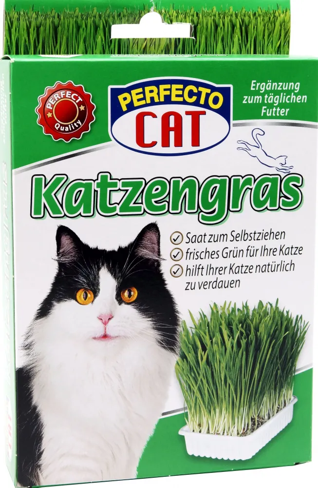 PC Katzengras 100g