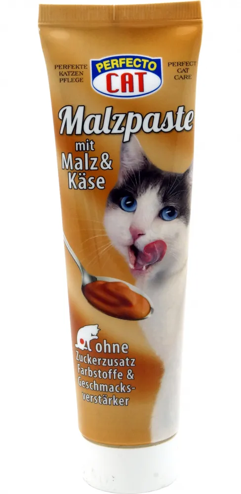 PC Malzpaste 100g