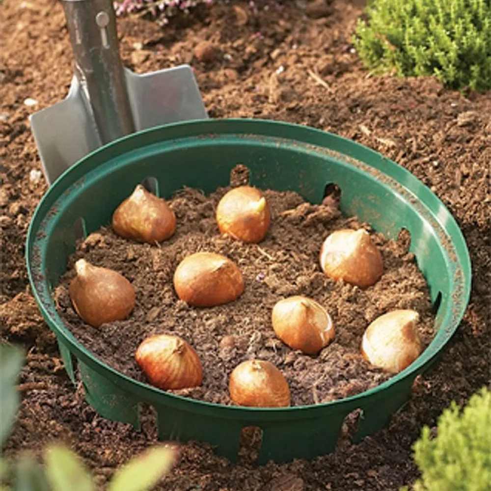 Pflanzkorb für Zwiebelpflanze Ø21,7 cm, 3er Pack