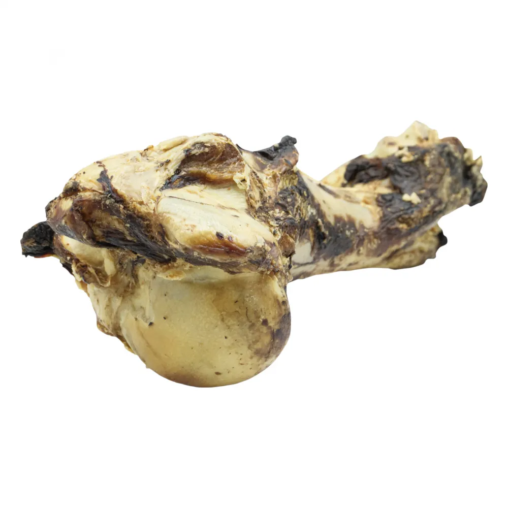 Riesenknochen ca. 1,1 kg
