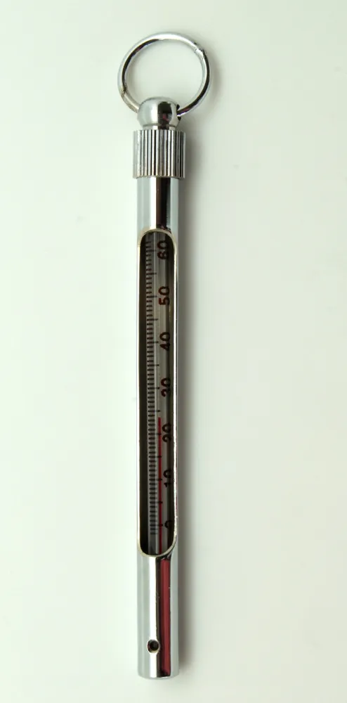 Wasser Thermometer 13 cm 60C