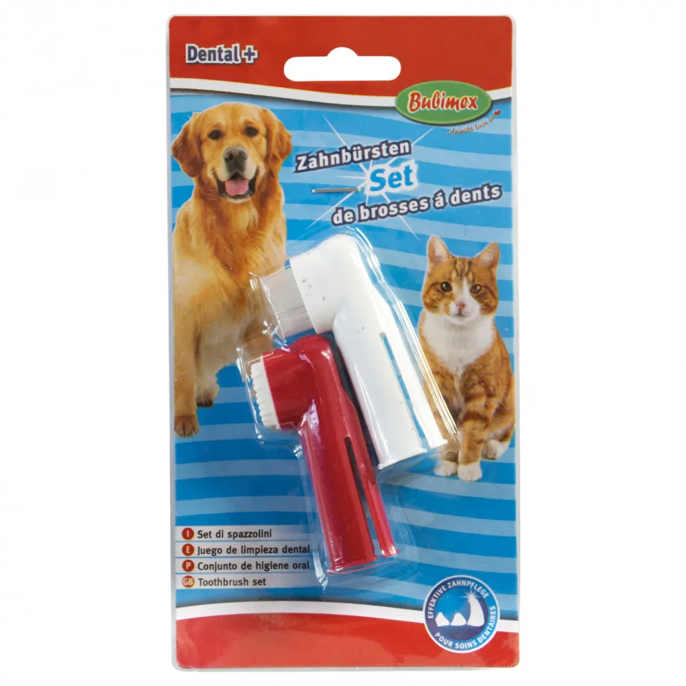 Zahnpflege-Bürstenset 2tlg Dental