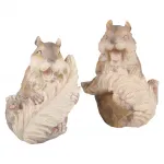 Eichhörnchen FRED & MAX