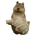 Eichhörnchen FRED & MAX