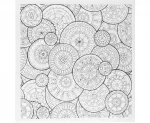 Malbuch für Erwachsene 24 Seiten
