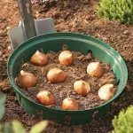 Pflanzkorb für Zwiebelpflanze Ø21,7 cm, 3er Pack