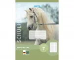 Schulheft Lineatur 7 DIN A4 16 Blatt