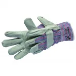 Workstar HD Ute XL/10.5