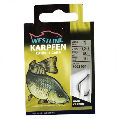 Angelhaken Karpfen schwarz 10 Stück