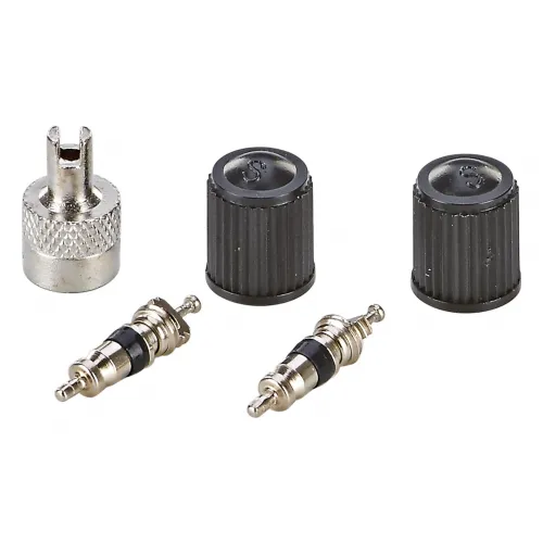 Autoventileinsätze 2 Stück mit Ventilkappen und Schraubwerkzeug