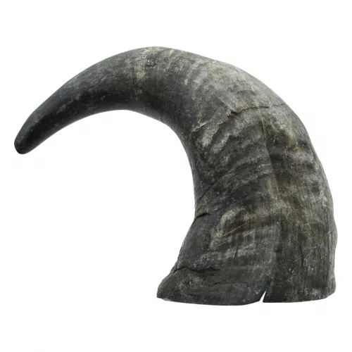 Büffelhorngröße L Mindestgewicht: 350g 350g