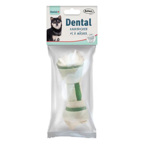 Dental-Knochen mittelDentalMinze