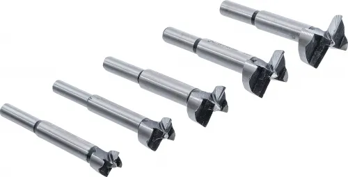 Forstner-Bohrersatz 5tlg
