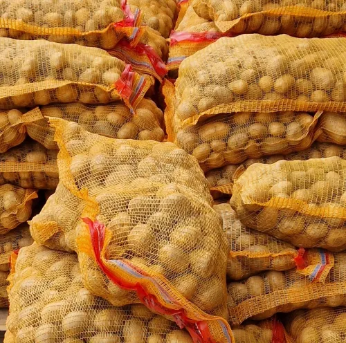 Kartoffeln MARABEL 25 kg aus 2025