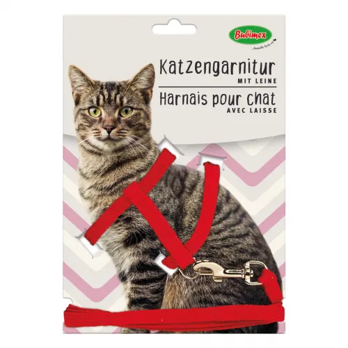 Katzengeschirr