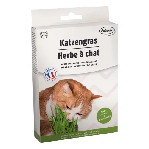 Katzengras 100g Beutel