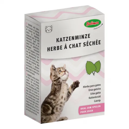 Katzenminze 20g