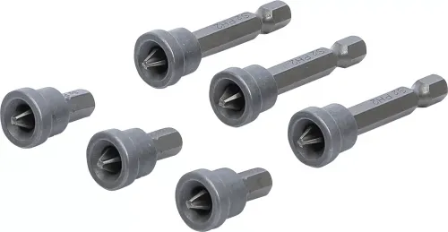 Schrauber-Bitsatz 6tlg