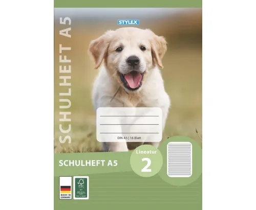 Schulheft Lineatur 2 DIN A5 16 Blatt